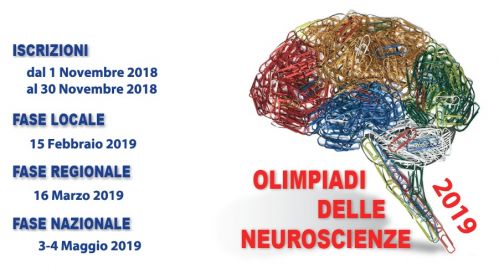 Olimpiadi delle Neuroscienze –  fasi regionali
